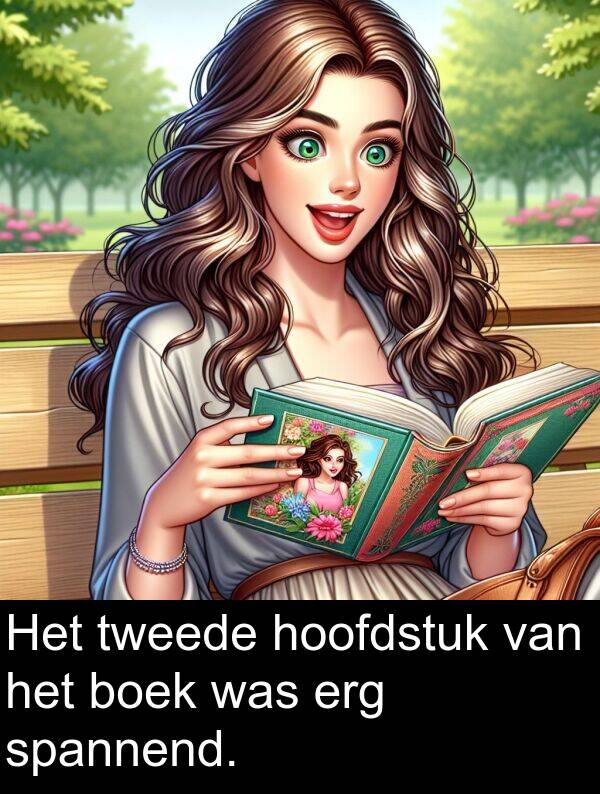 boek: Het tweede hoofdstuk van het boek was erg spannend.