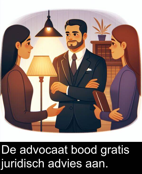 gratis: De advocaat bood gratis juridisch advies aan.