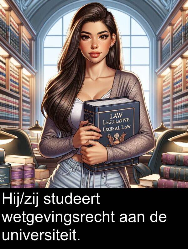 studeert: Hij/zij studeert wetgevingsrecht aan de universiteit.