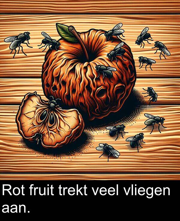 fruit: Rot fruit trekt veel vliegen aan.