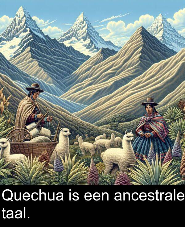 taal: Quechua is een ancestrale taal.