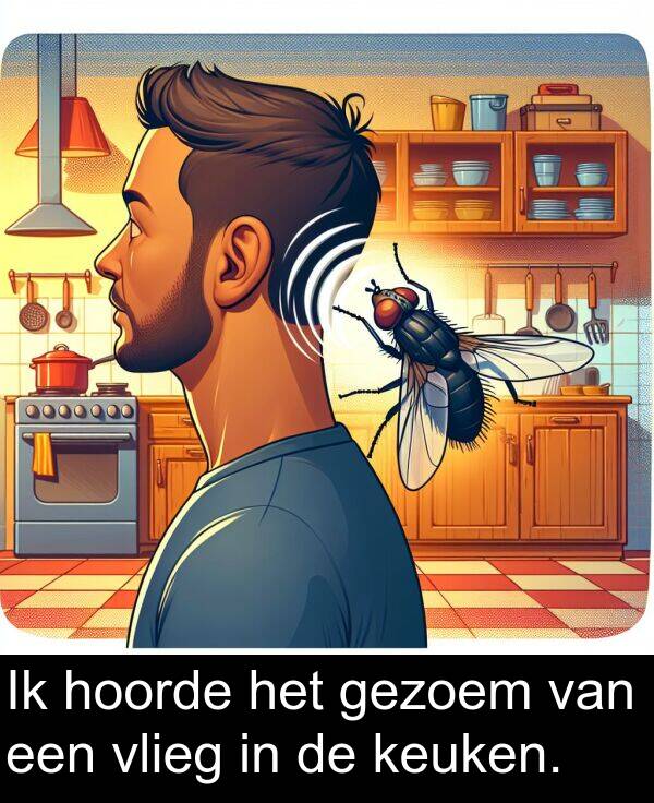 gezoem: Ik hoorde het gezoem van een vlieg in de keuken.