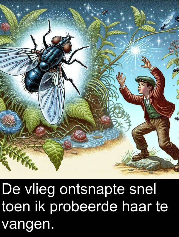 probeerde: De vlieg ontsnapte snel toen ik probeerde haar te vangen.