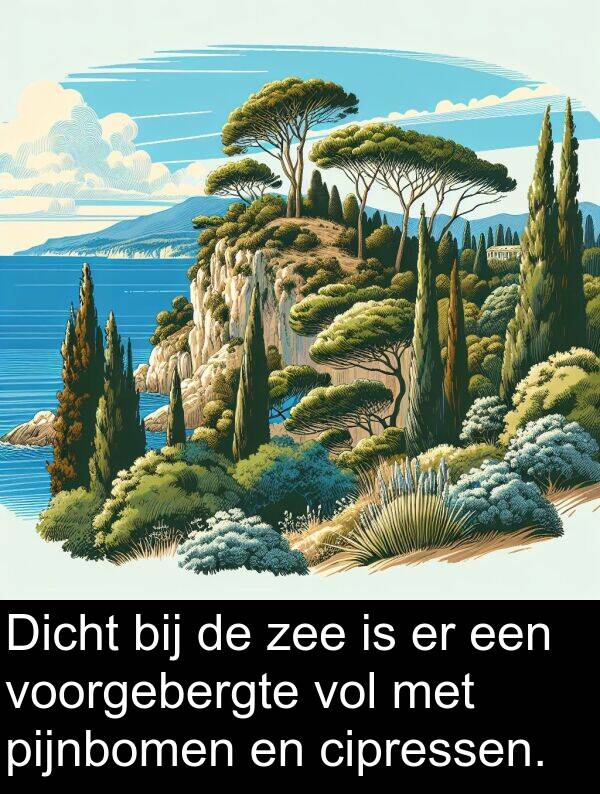 cipressen: Dicht bij de zee is er een voorgebergte vol met pijnbomen en cipressen.