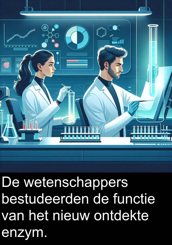 functie: De wetenschappers bestudeerden de functie van het nieuw ontdekte enzym.