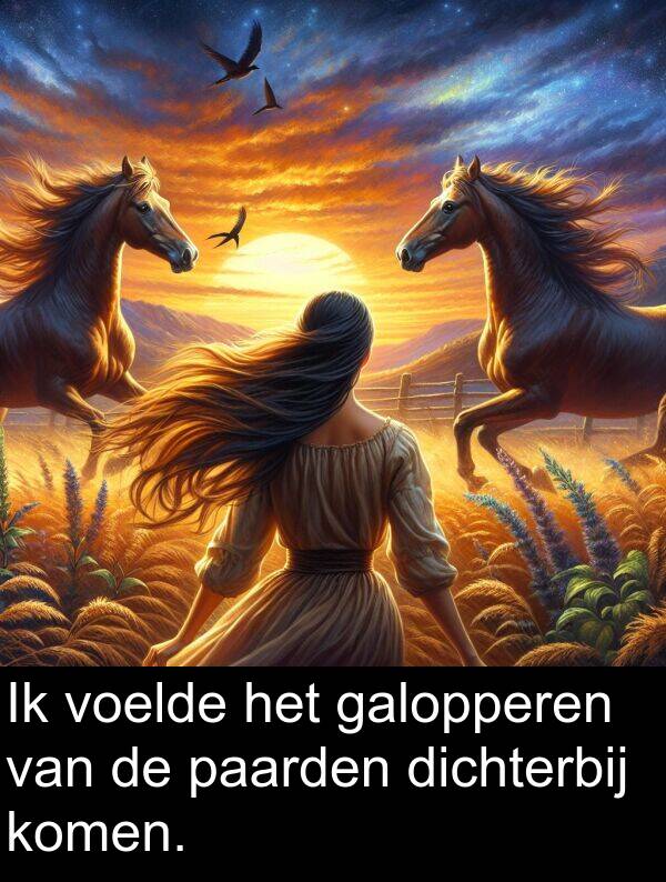 dichterbij: Ik voelde het galopperen van de paarden dichterbij komen.