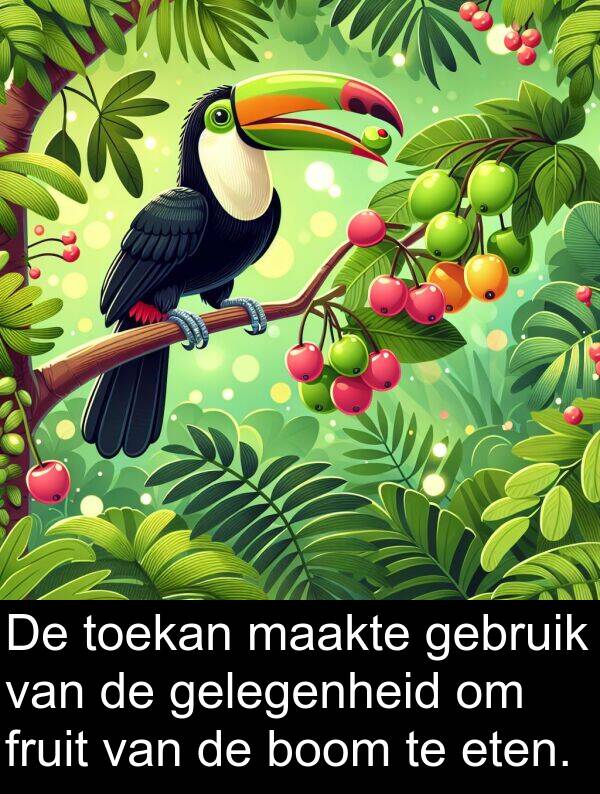 gelegenheid: De toekan maakte gebruik van de gelegenheid om fruit van de boom te eten.
