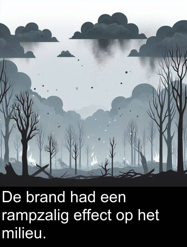 effect: De brand had een rampzalig effect op het milieu.
