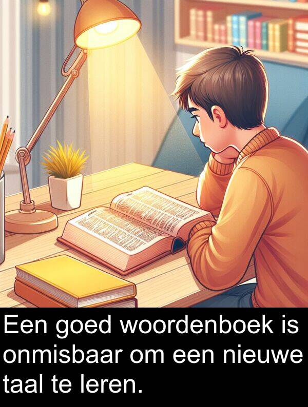 goed: Een goed woordenboek is onmisbaar om een nieuwe taal te leren.