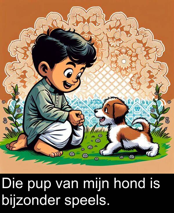 speels: Die pup van mijn hond is bijzonder speels.