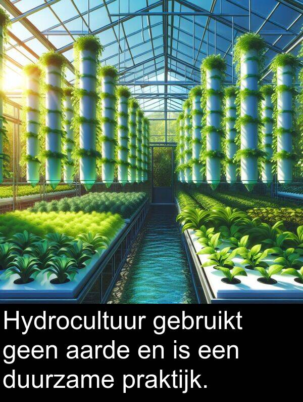 duurzame: Hydrocultuur gebruikt geen aarde en is een duurzame praktijk.