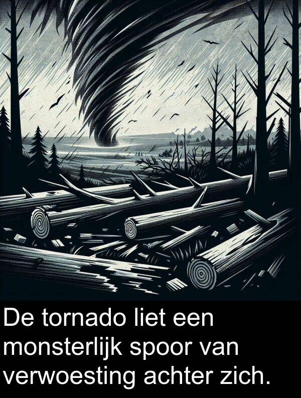 spoor: De tornado liet een monsterlijk spoor van verwoesting achter zich.