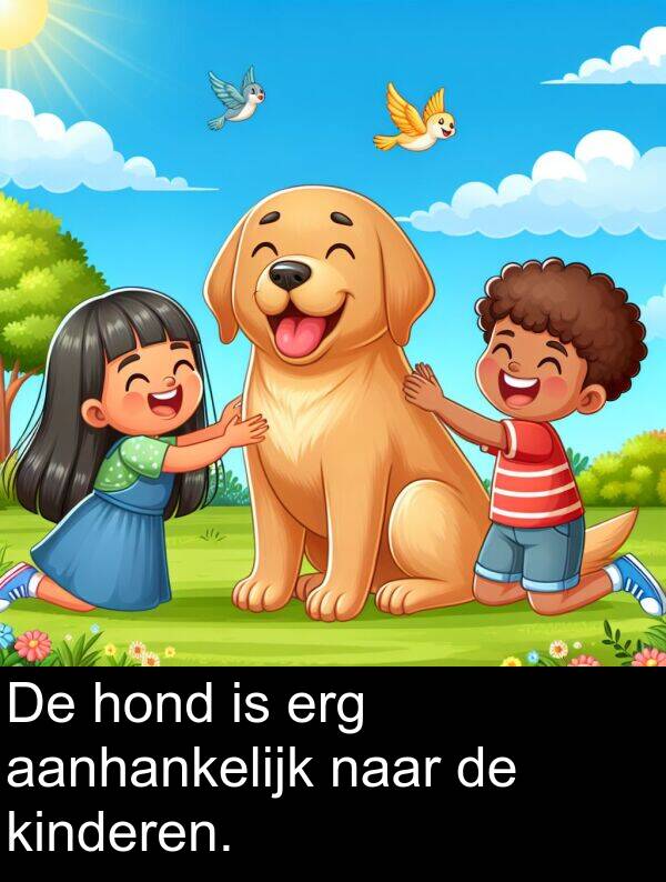 kinderen: De hond is erg aanhankelijk naar de kinderen.