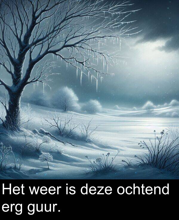 guur: Het weer is deze ochtend erg guur.