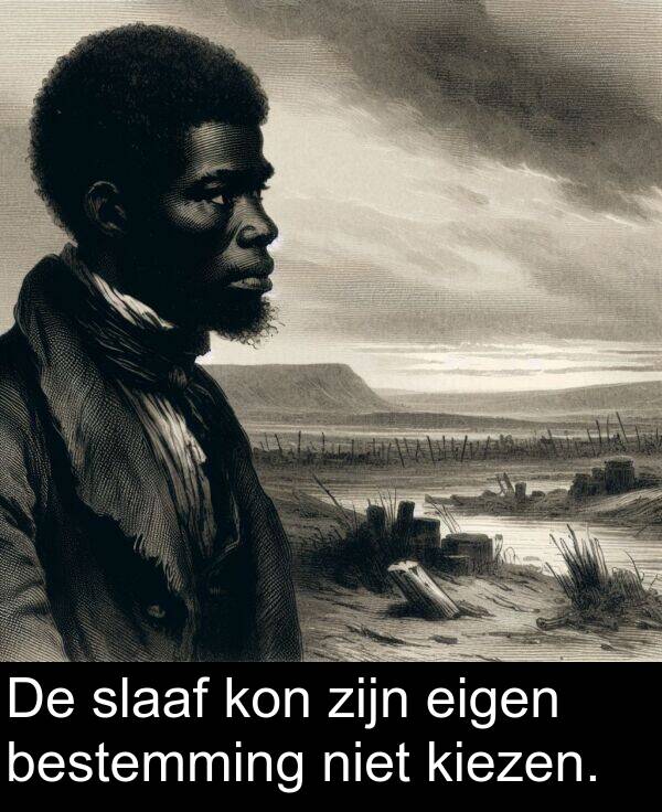 kiezen: De slaaf kon zijn eigen bestemming niet kiezen.