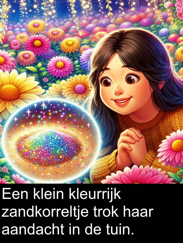 zandkorreltje: Een klein kleurrijk zandkorreltje trok haar aandacht in de tuin.