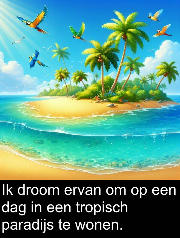 droom: Ik droom ervan om op een dag in een tropisch paradijs te wonen.