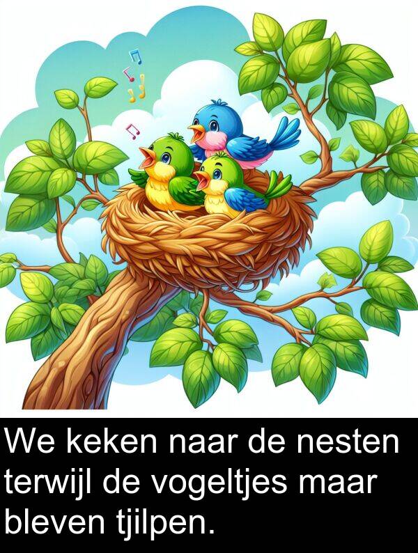 terwijl: We keken naar de nesten terwijl de vogeltjes maar bleven tjilpen.