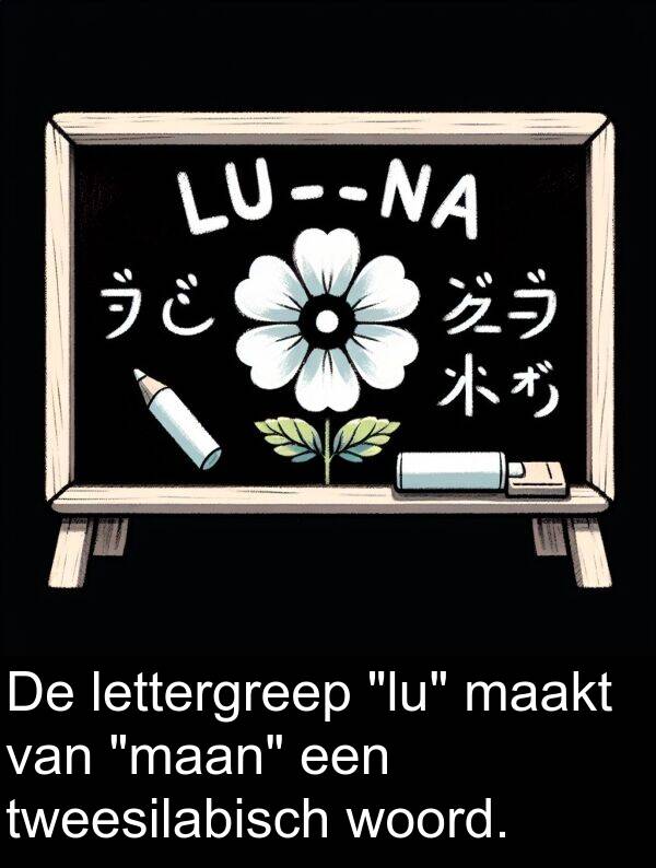 woord: De lettergreep "lu" maakt van "maan" een tweesilabisch woord.