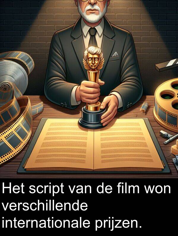 internationale: Het script van de film won verschillende internationale prijzen.