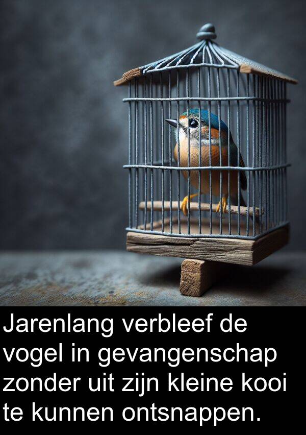 gevangenschap: Jarenlang verbleef de vogel in gevangenschap zonder uit zijn kleine kooi te kunnen ontsnappen.