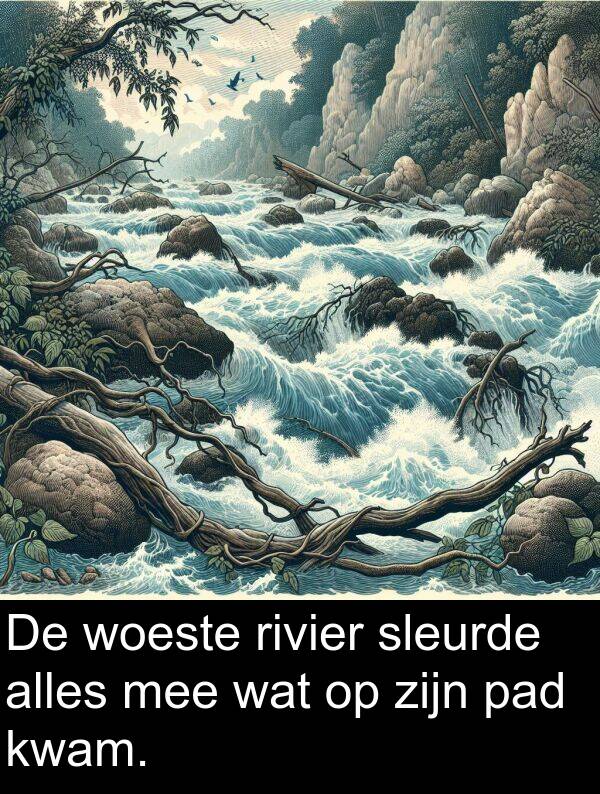 alles: De woeste rivier sleurde alles mee wat op zijn pad kwam.