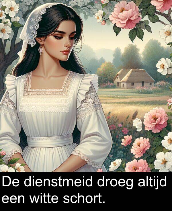 droeg: De dienstmeid droeg altijd een witte schort.