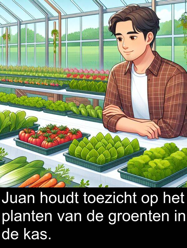 groenten: Juan houdt toezicht op het planten van de groenten in de kas.