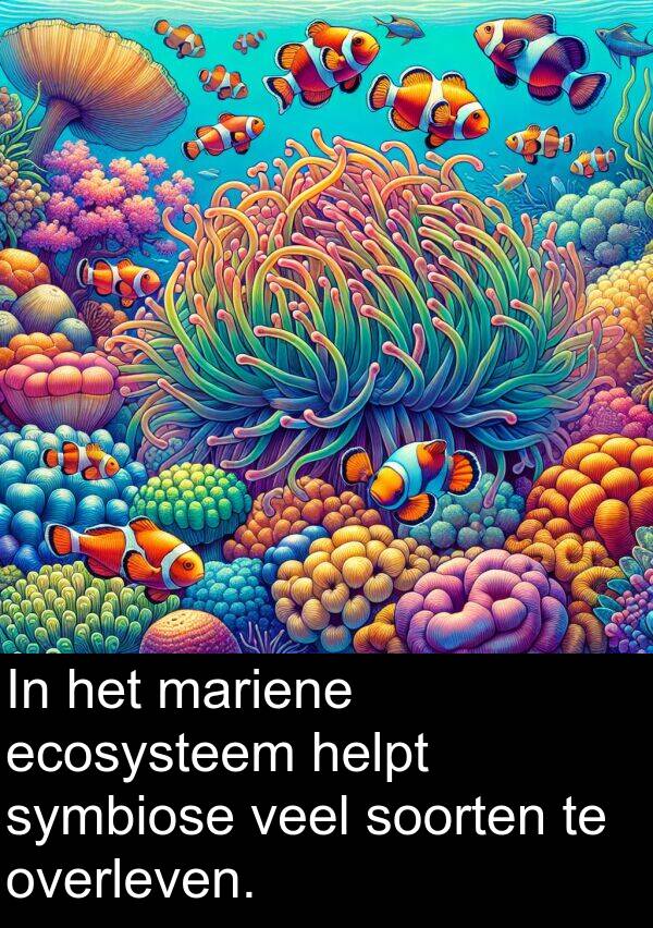 soorten: In het mariene ecosysteem helpt symbiose veel soorten te overleven.