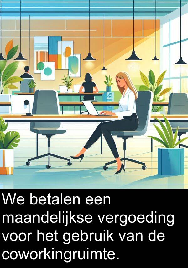 maandelijkse: We betalen een maandelijkse vergoeding voor het gebruik van de coworkingruimte.