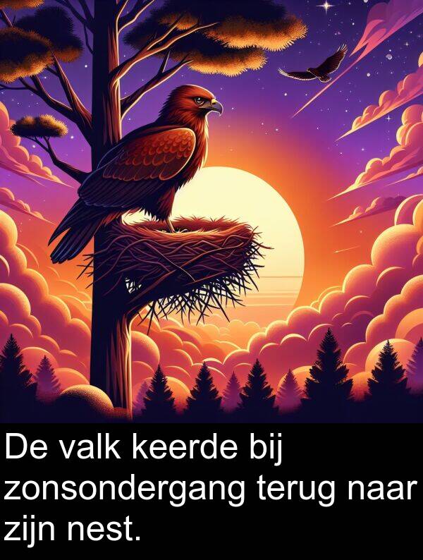 keerde: De valk keerde bij zonsondergang terug naar zijn nest.