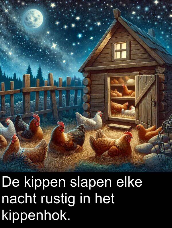 slapen: De kippen slapen elke nacht rustig in het kippenhok.