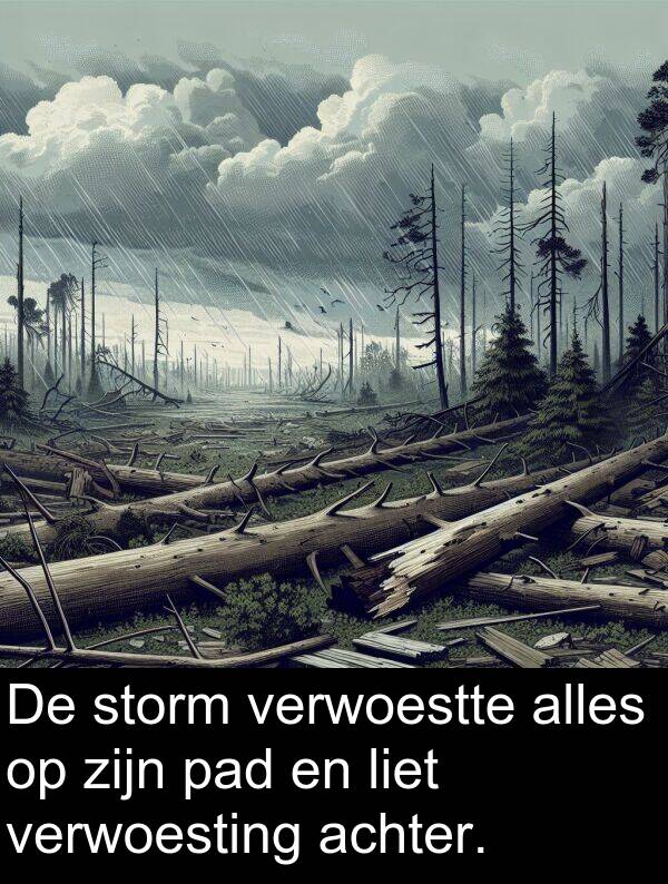 verwoestte: De storm verwoestte alles op zijn pad en liet verwoesting achter.