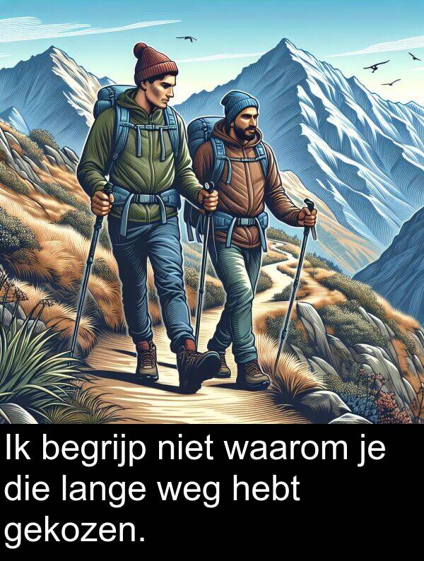 gekozen: Ik begrijp niet waarom je die lange weg hebt gekozen.