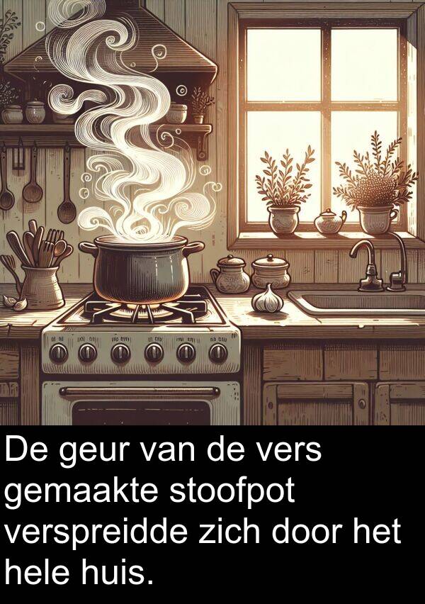 geur: De geur van de vers gemaakte stoofpot verspreidde zich door het hele huis.