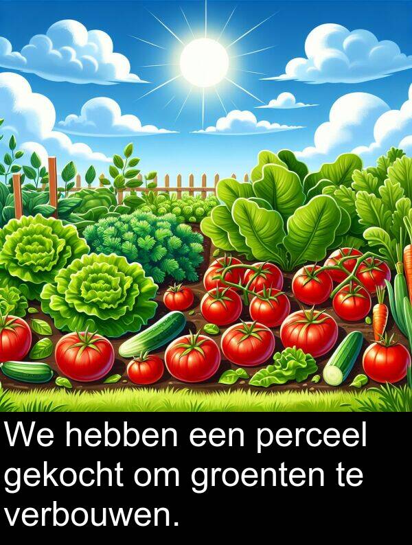 gekocht: We hebben een perceel gekocht om groenten te verbouwen.