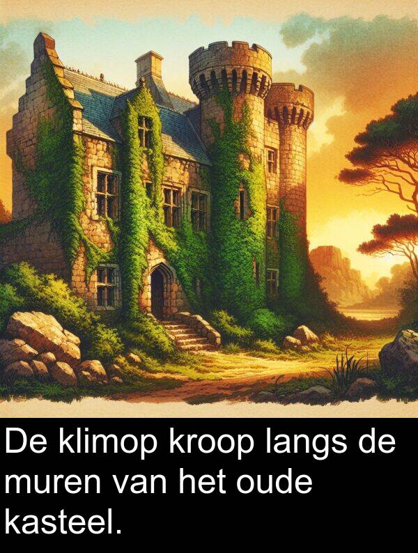 kasteel: De klimop kroop langs de muren van het oude kasteel.