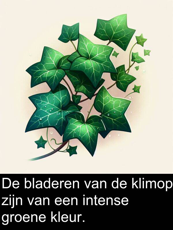groene: De bladeren van de klimop zijn van een intense groene kleur.