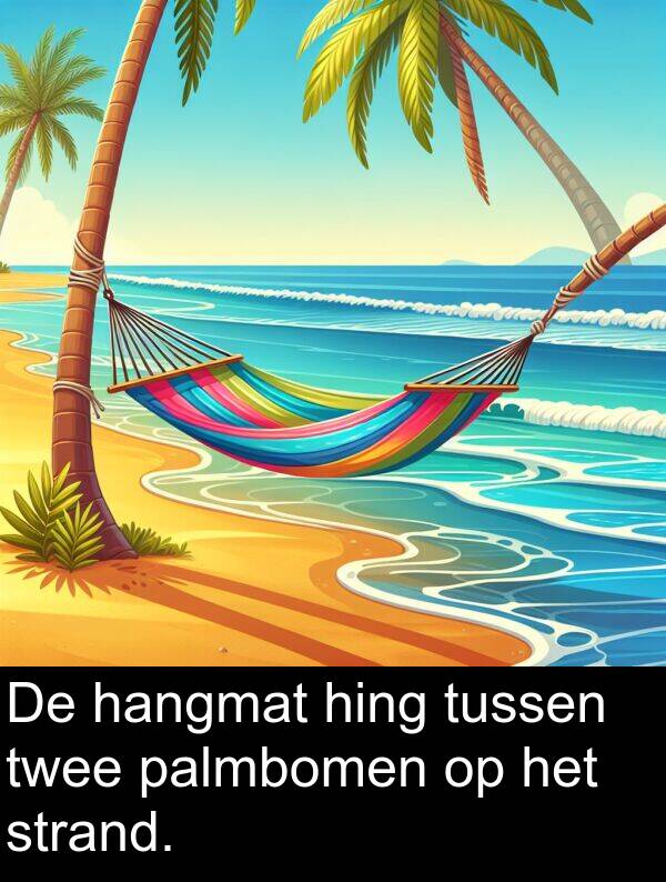 palmbomen: De hangmat hing tussen twee palmbomen op het strand.