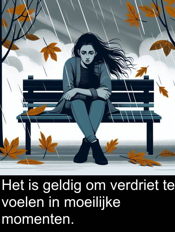 geldig: Het is geldig om verdriet te voelen in moeilijke momenten.