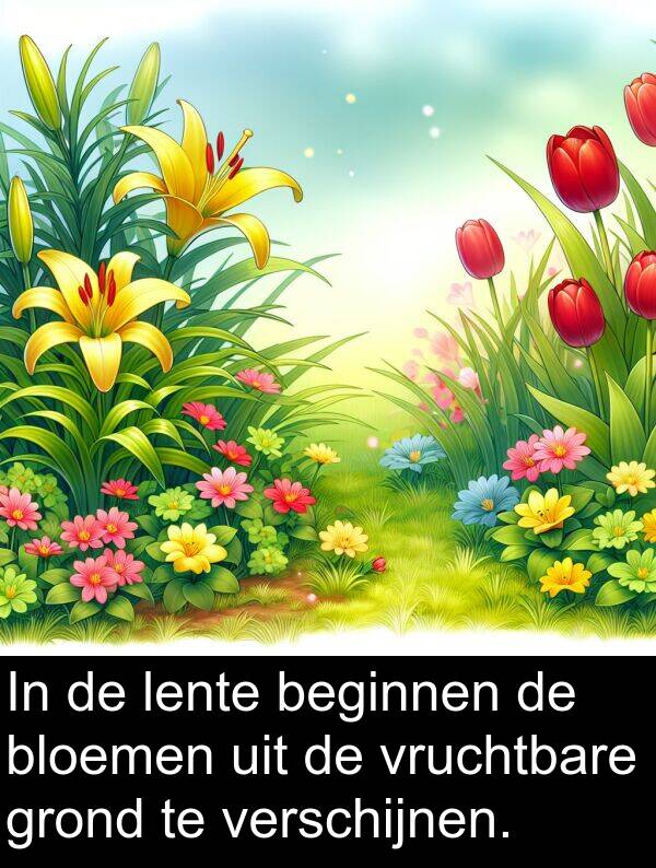 grond: In de lente beginnen de bloemen uit de vruchtbare grond te verschijnen.
