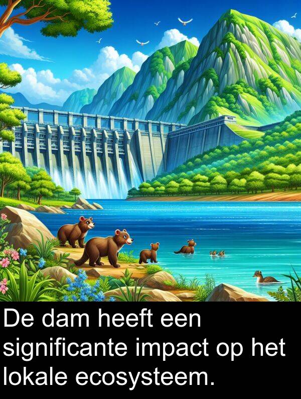 dam: De dam heeft een significante impact op het lokale ecosysteem.