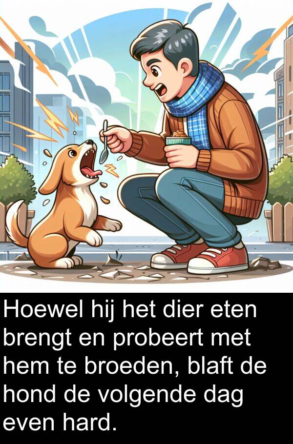 dier: Hoewel hij het dier eten brengt en probeert met hem te broeden, blaft de hond de volgende dag even hard.