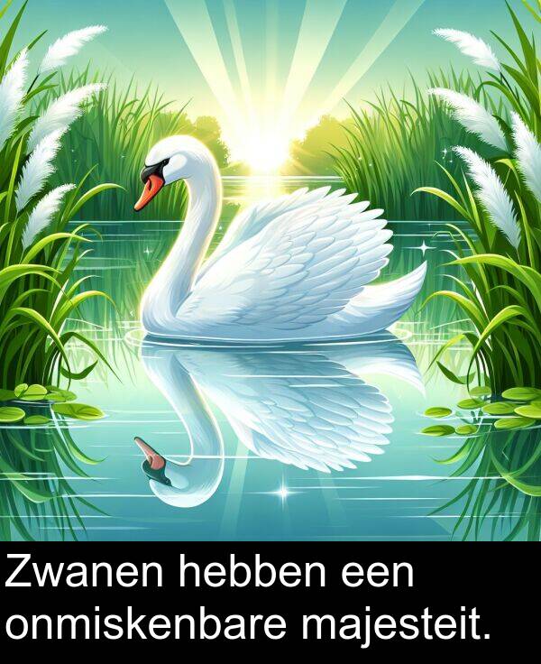 majesteit: Zwanen hebben een onmiskenbare majesteit.