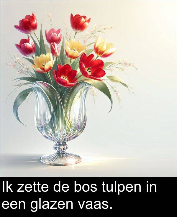 glazen: Ik zette de bos tulpen in een glazen vaas.