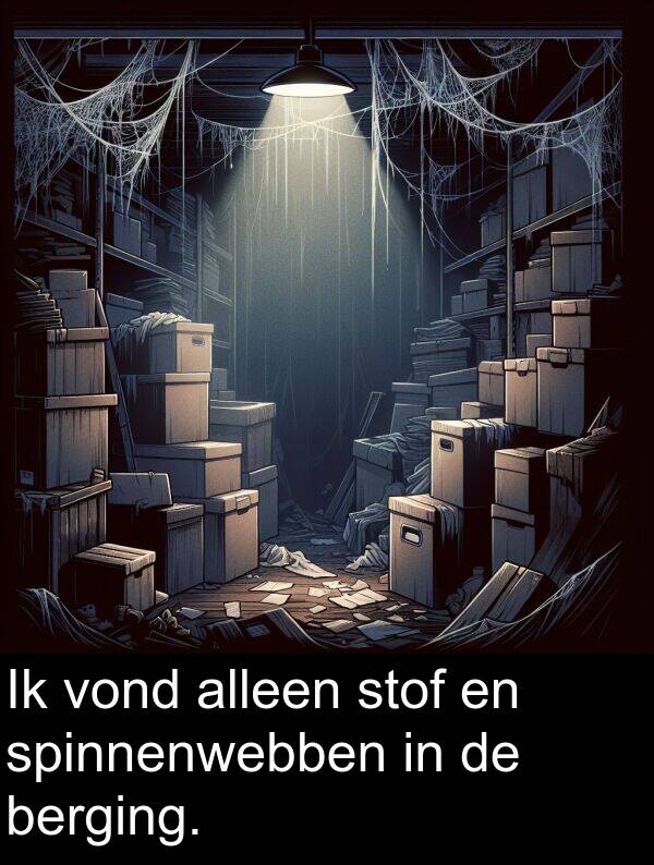 spinnenwebben: Ik vond alleen stof en spinnenwebben in de berging.