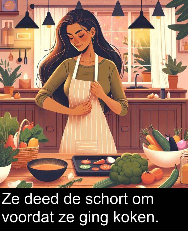 ging: Ze deed de schort om voordat ze ging koken.