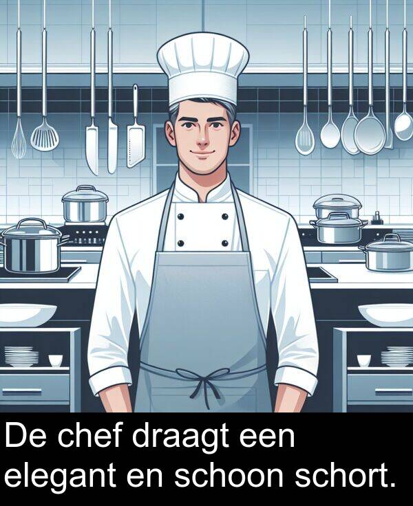 draagt: De chef draagt een elegant en schoon schort.