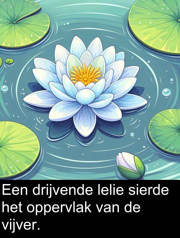 drijvende: Een drijvende lelie sierde het oppervlak van de vijver.