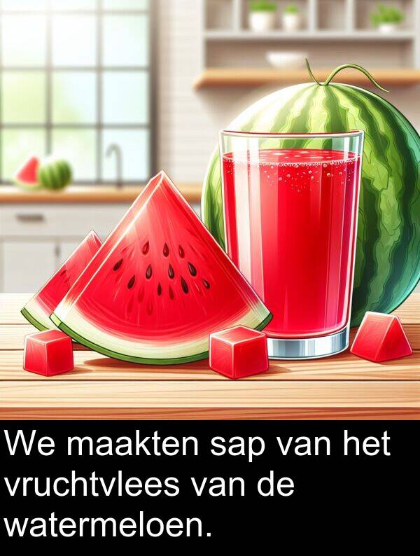 maakten: We maakten sap van het vruchtvlees van de watermeloen.
